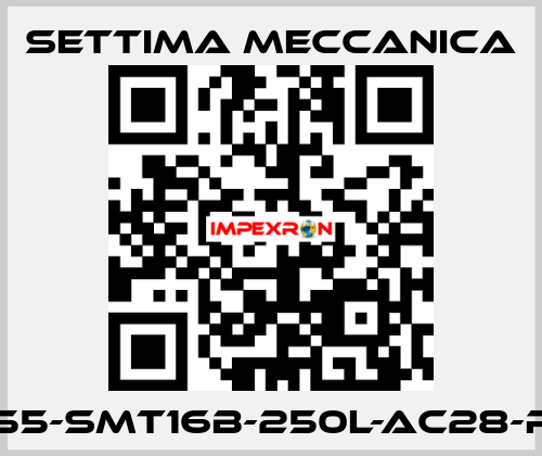 GR55-SMT16B-250L-AC28-RF2 Settima Meccanica