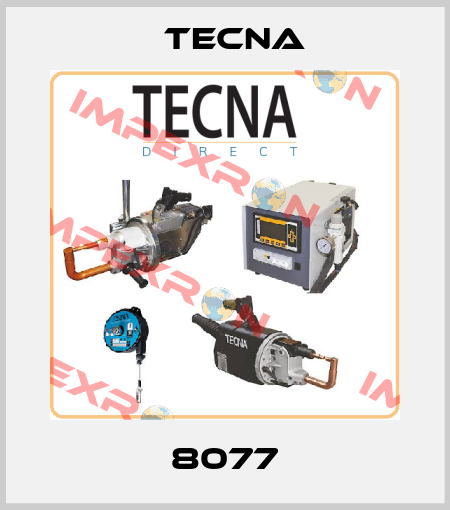 8077 Tecna