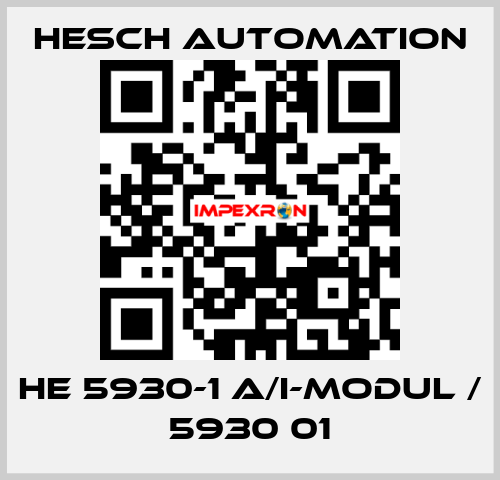 HE 5930-1 A/I-Modul / 5930 01 Hesch Automation