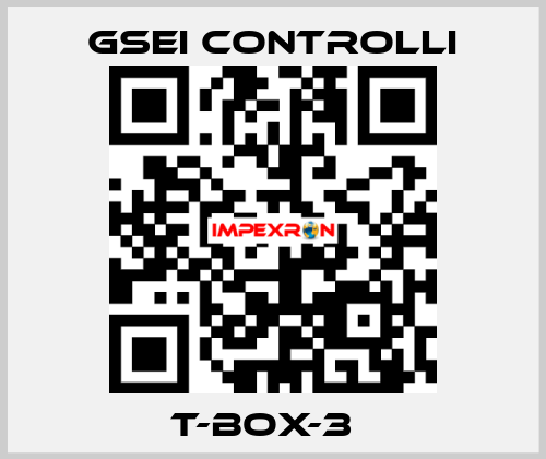 T-BOX-3Т GSEI Controlli