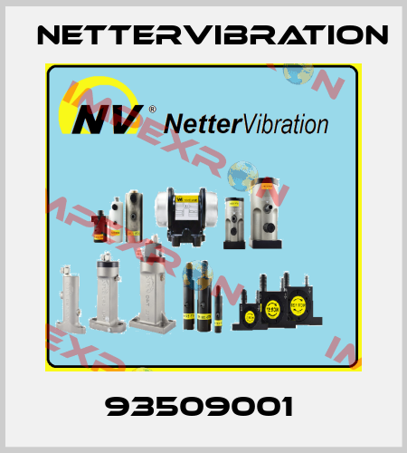 93509001  NetterVibration