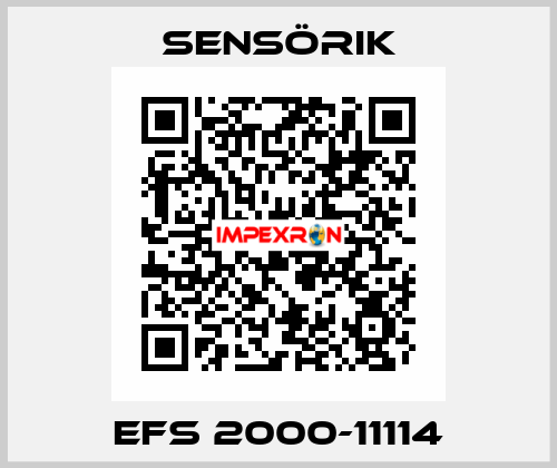 EFS 2000-11114 Sensörik