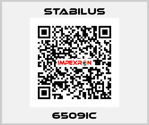 6509IC Stabilus
