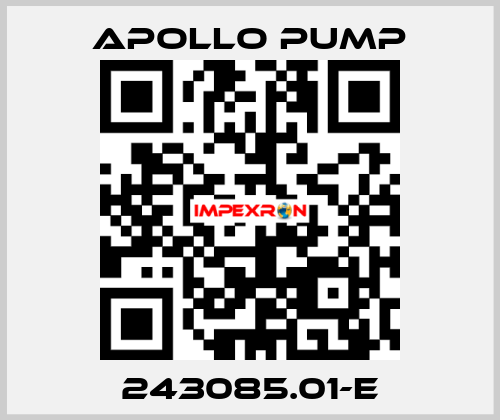 243085.01-E Apollo pump