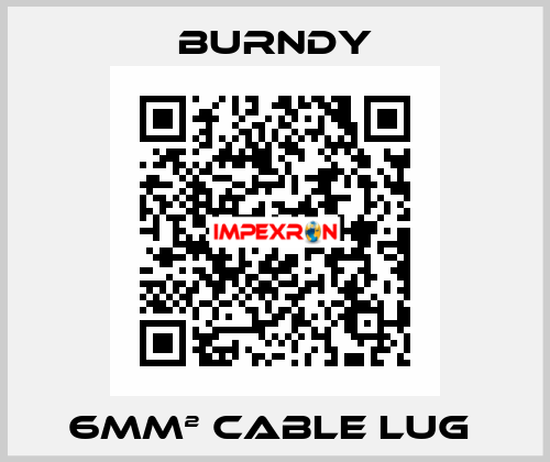 6mm² cable lug  Burndy