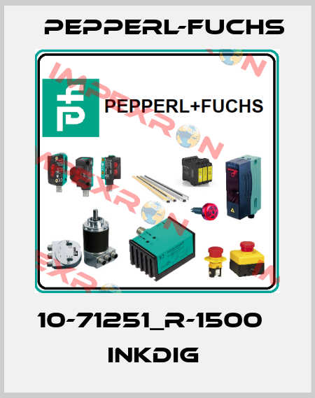 10-71251_R-1500         InkDIG  Pepperl-Fuchs