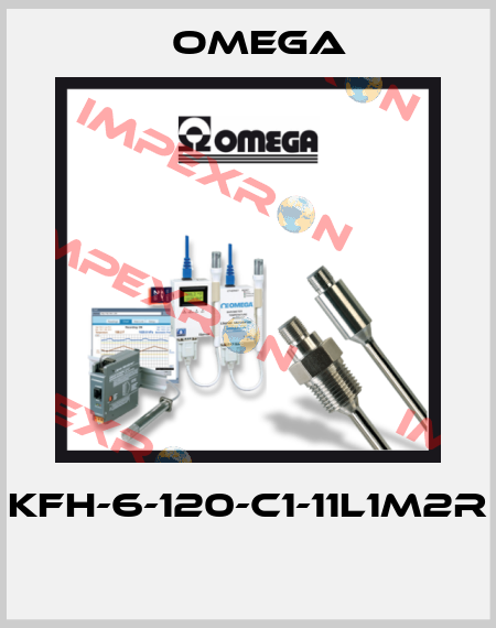 KFH-6-120-C1-11L1M2R  Omega