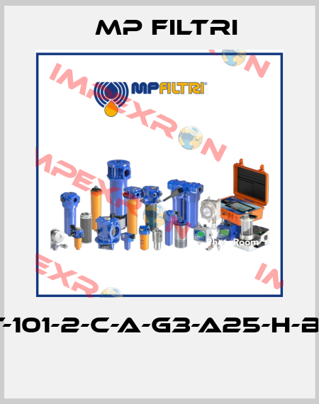 MPT-101-2-C-A-G3-A25-H-B-P01  MP Filtri