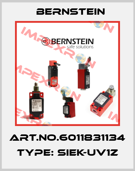 Art.No.6011831134 Type: SIEK-UV1Z Bernstein