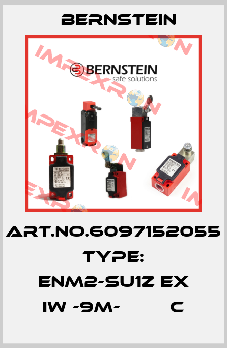 Art.No.6097152055 Type: ENM2-SU1Z EX IW -9M-         C Bernstein