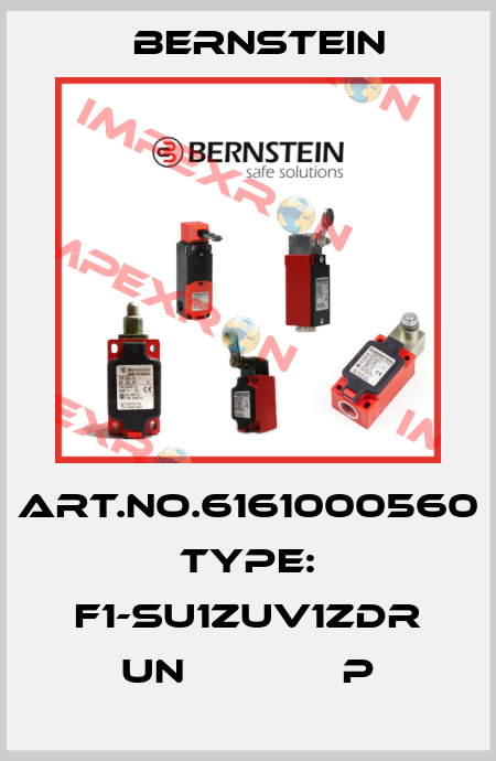 Art.No.6161000560 Type: F1-SU1ZUV1ZDR UN             P Bernstein