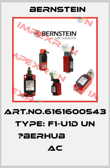 Art.No.6161600543 Type: F1-U1D UN ?BERHUB           AC Bernstein