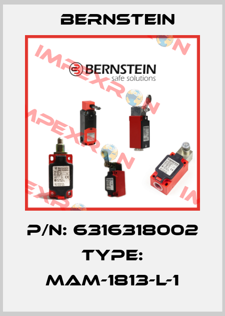 P/N: 6316318002 Type: MAM-1813-L-1 Bernstein