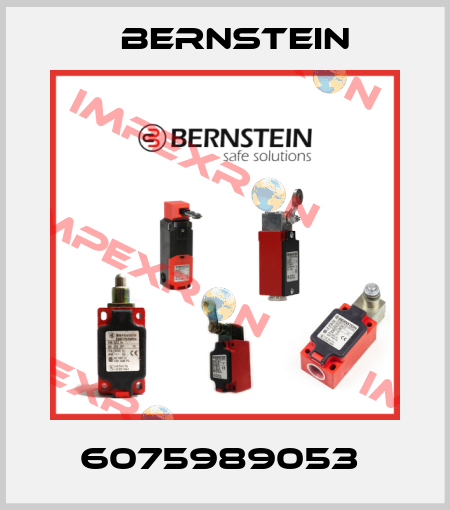 6075989053  Bernstein