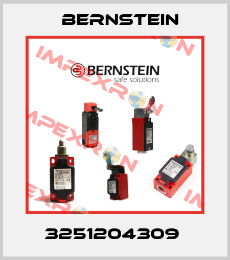 3251204309  Bernstein