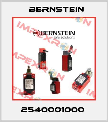 2540001000  Bernstein