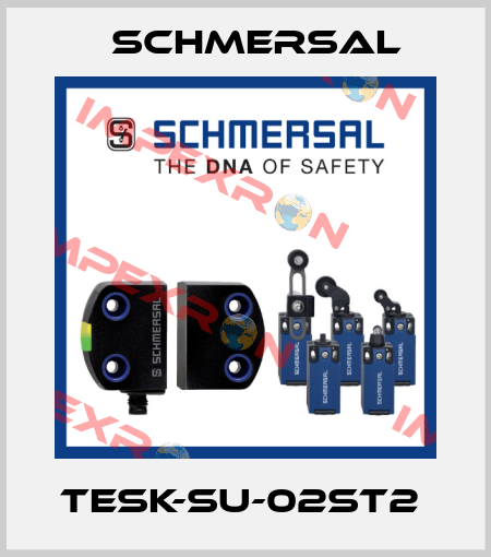 TESK-SU-02ST2  Schmersal