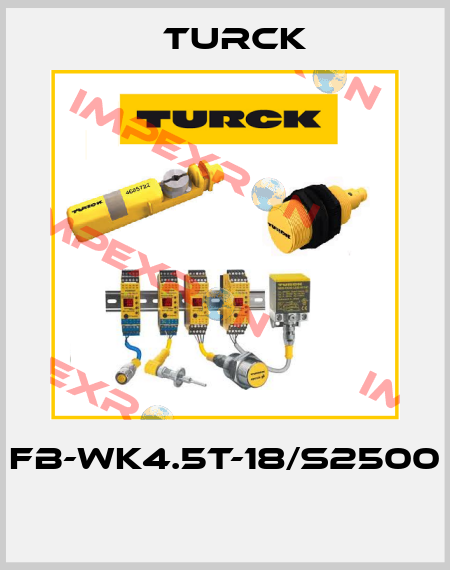 FB-WK4.5T-18/S2500  Turck