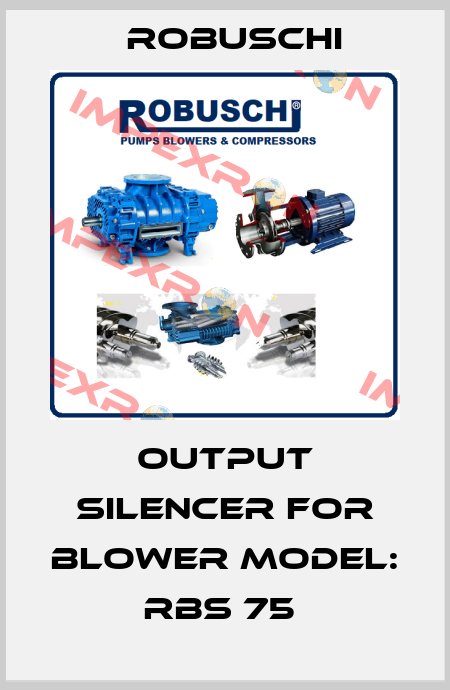 Output Silencer for Blower Model: RBS 75  Robuschi