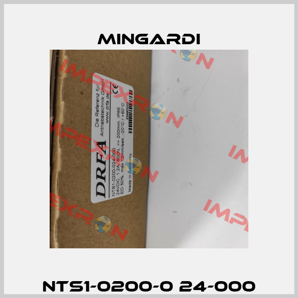 NTS1-0200-0 24-000 Mingardi
