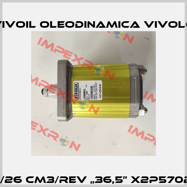 XV-2P/26 cm3/rev „36,5” X2P5702EDCA Vivoil Oleodinamica Vivolo