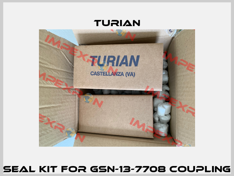 seal kit for GSN-13-7708 coupling Turian