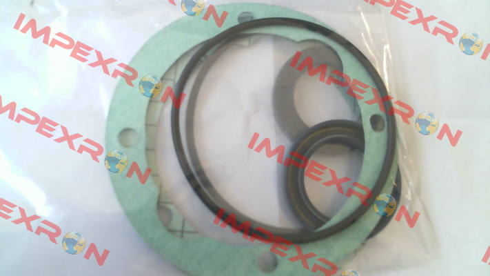 Seal KIT for GR45-SMT16B-180L-RF1 Settima