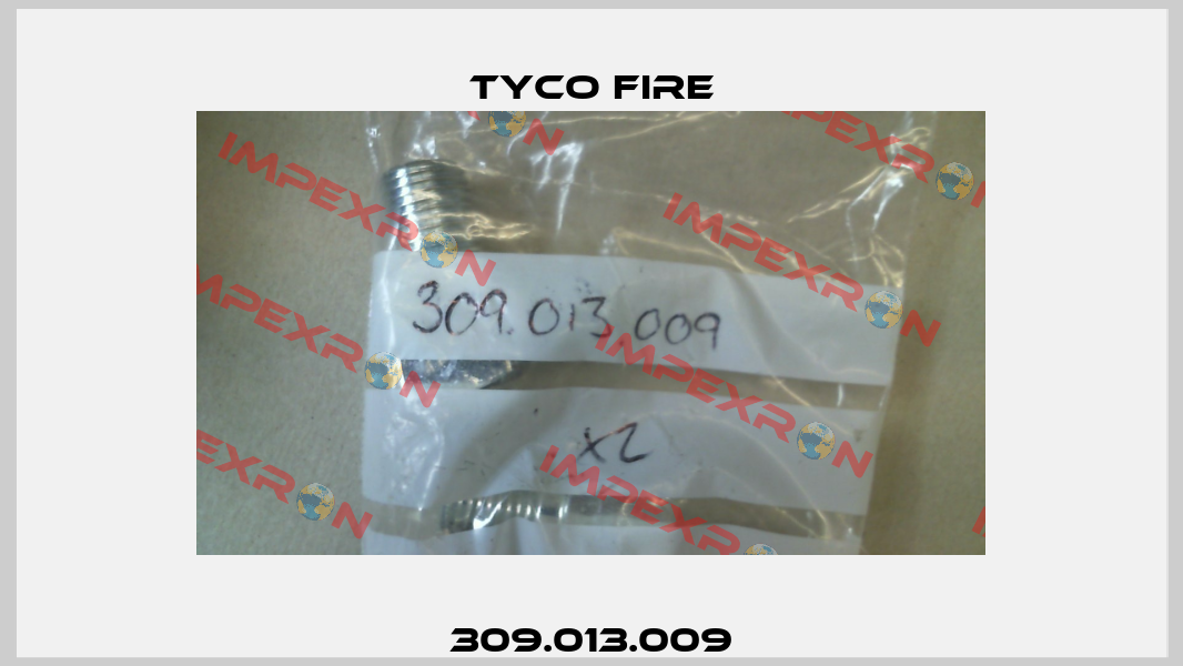 309.013.009 Tyco Fire