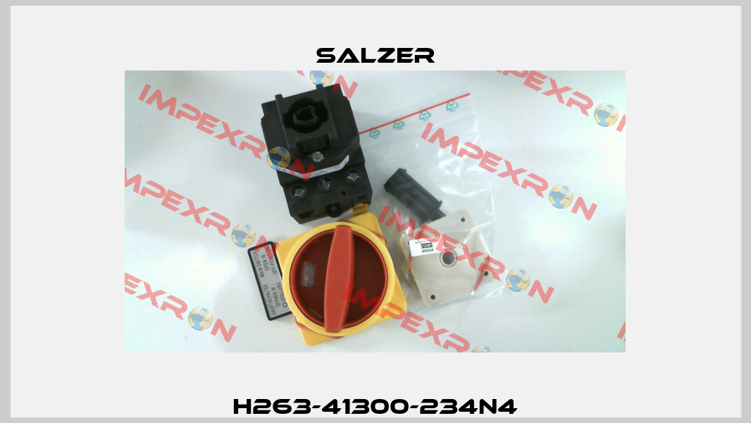 H263-41300-234N4 Salzer