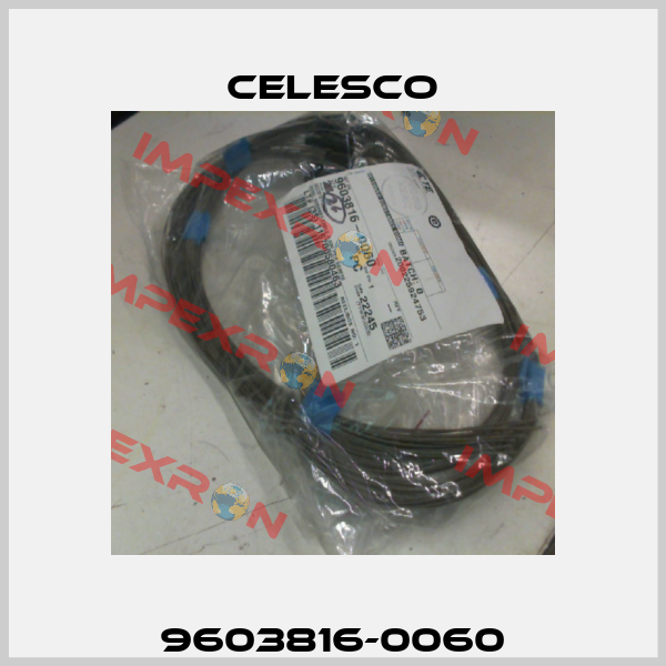 9603816-0060 Celesco