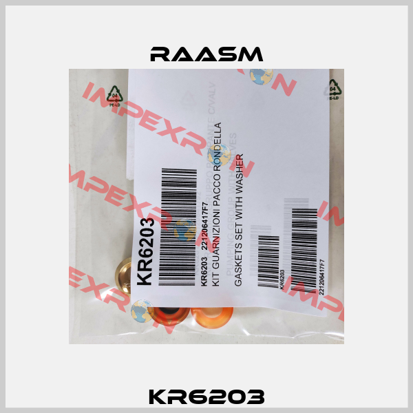 KR6203 Raasm