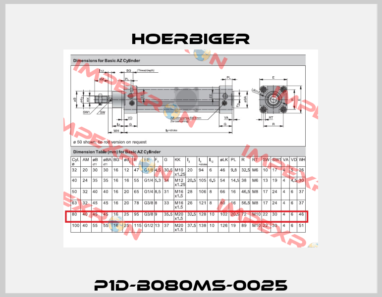 P1D-B080MS-0025 Hoerbiger