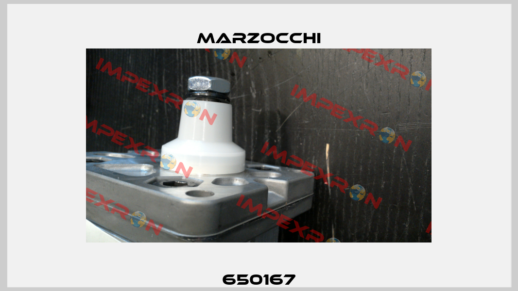 650167 Marzocchi